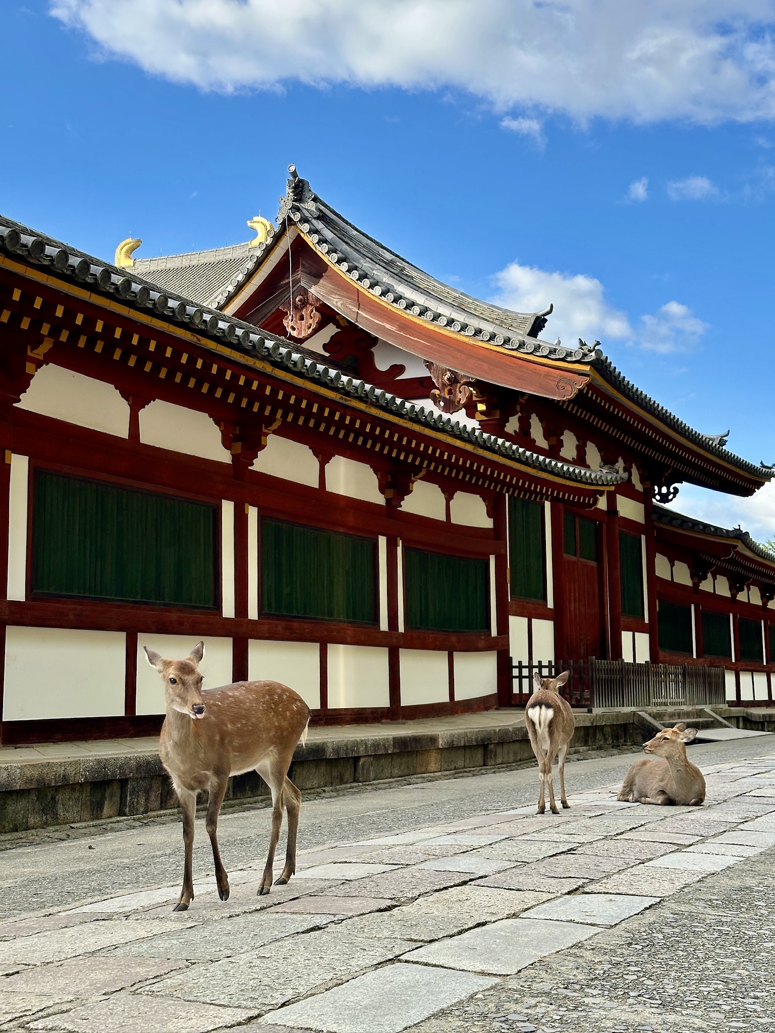 Nara, Japan